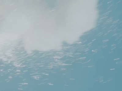vlcsnap-00601~17.png