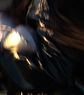 vlcsnap-00398~21.png