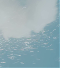 vlcsnap-00601~17.png