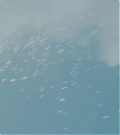vlcsnap-00602~17.png