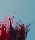 vlcsnap-00607~17.png