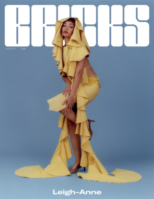 imgi_1_BRICKS-ISSUE-15-COVER-LEIGH-ANNE-SOCIAL-RELEASE-COVER.png