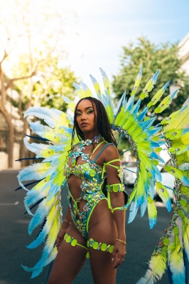 imgi_1_leigh-anne-pinnock-1018601270.jpg