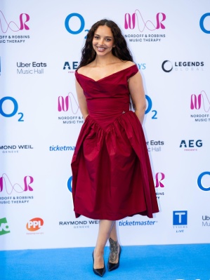 4785120.jpg