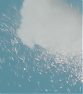 vlcsnap-00614~16.png