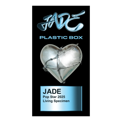 imgi_1_JADE_-PLASTICBOX-MetallicStickerSet.png