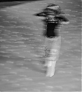 SnapInsta_to_557368118_18535228084058516_1413637537719544252_n.jpg