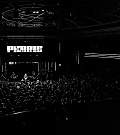 pe05.jpg